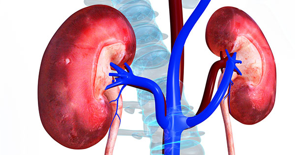 7 Steps To Keep Your Kidneys Healthy